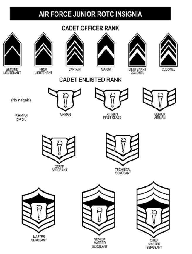 usafinsignia.jpg